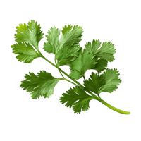 block.settings.image_alt